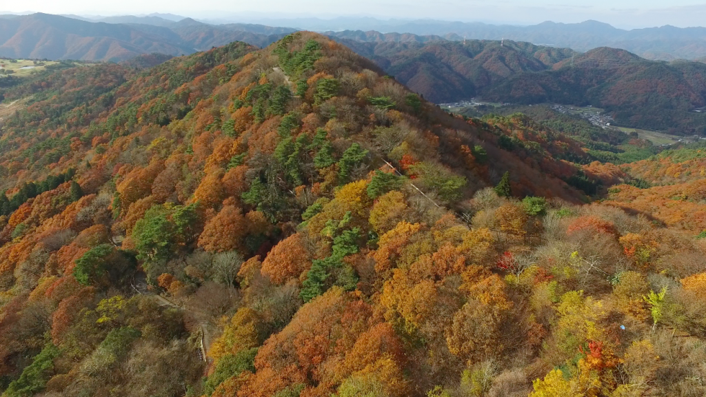 大野山